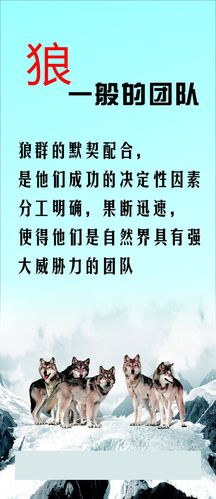 徐kaiyun官方网站工道路工资拿到手3千多(徐工工资一月多少钱)